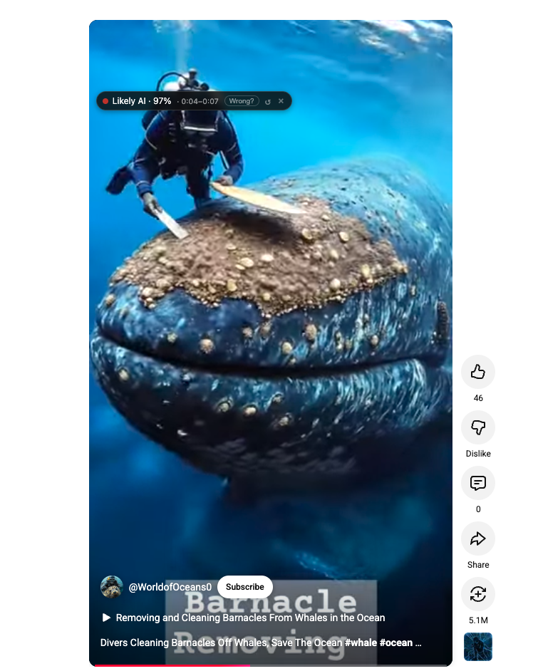 Likely AI verdict on a fake save-the-whale viral video